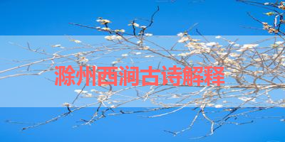 滁州西涧古诗解释 