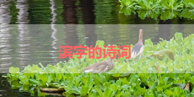 滨字的诗词 