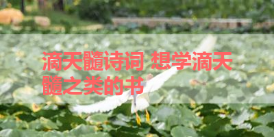 滴天髓诗词 想学滴天髓之类的书 