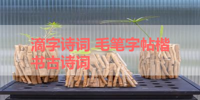 滴字诗词 毛笔字帖楷书古诗词