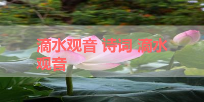 滴水观音 诗词 滴水观音