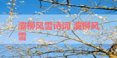 灞柳风雪诗词 灞柳风雪