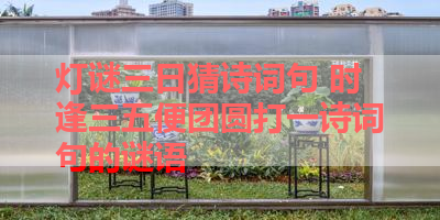 灯谜三日猜诗词句 时逢三五便团圆打一诗词句的谜语 