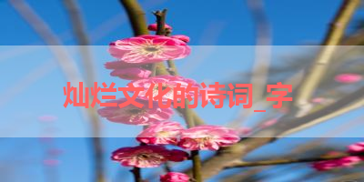 灿烂文化的诗词_字 