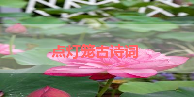 点灯笼古诗词 