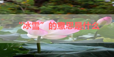 “冰雪”的意思是什么 