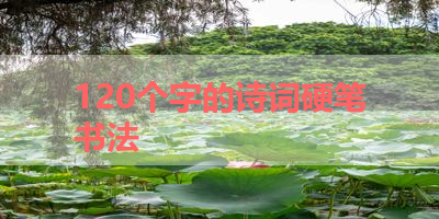 120个字的诗词硬笔书法 
