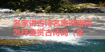 名家讲古诗名家讲唐诗怎样鉴赏古诗词（全 