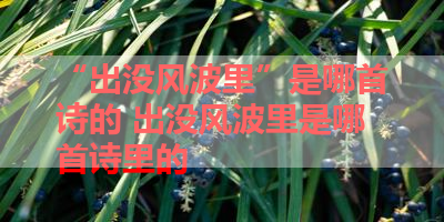 “出没风波里”是哪首诗的 出没风波里是哪首诗里的