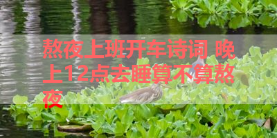 熬夜上班开车诗词 晚上12点去睡算不算熬夜 