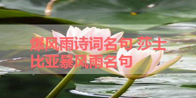 爆风雨诗词名句 莎士比亚暴风雨名句