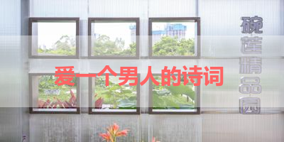 爱一个男人的诗词 