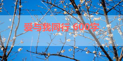 爱与我同行 600字 