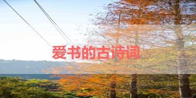 爱书的古诗词 