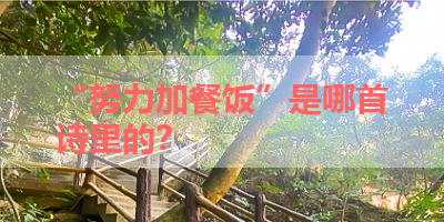 “努力加餐饭”是哪首诗里的？ 