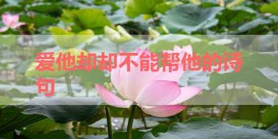 爱他却却不能帮他的诗句 