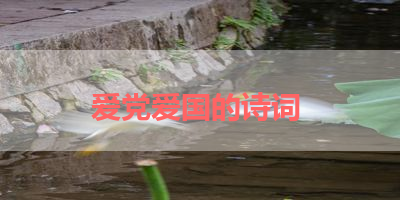 爱党爱国的诗词 