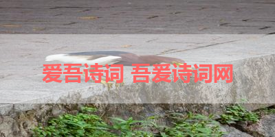 爱吾诗词 吾爰诗词网
