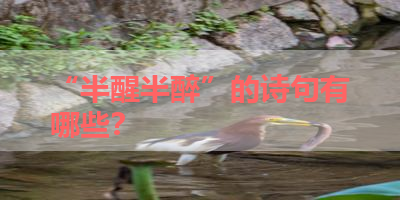 “半醒半醉”的诗句有哪些？ 