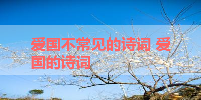 爱国不常见的诗词 爱国的诗词
