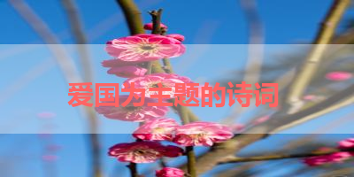 爱国为主题的诗词 
