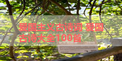 爱国主义古诗词 爱国古诗大全100首