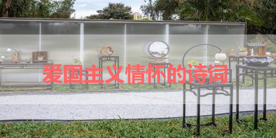 爱国主义情怀的诗词 