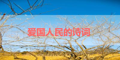 爱国人民的诗词 