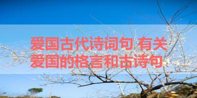 爱国古代诗词句 有关爱国的格言和古诗句 