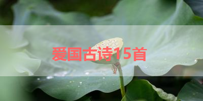 爱国古诗15首 