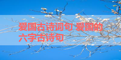 爱国古诗词句 爱国的六字古诗句