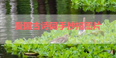 爱国古诗词手抄报图片 