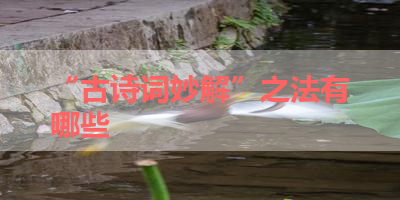 “古诗词妙解”之法有哪些 