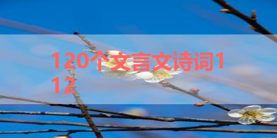 120个文言文诗词112 