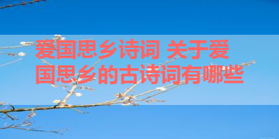 爱国思乡诗词 关于爱国思乡的古诗词有哪些 