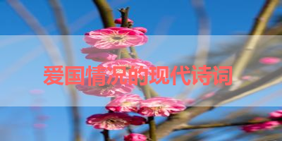 爱国情况的现代诗词 
