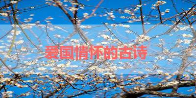 爱国情怀的古诗 