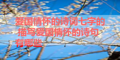 爱国情怀的诗词七字的 描写爱国情怀的诗句有哪些 