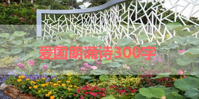 爱国朗诵诗300字 