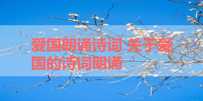 爱国朗诵诗词 关于爱国的诗词朗诵