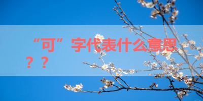 “可”字代表什么意思？？ 