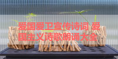 爱国爱卫宣传诗词 爱国主义诗歌朗诵大全 