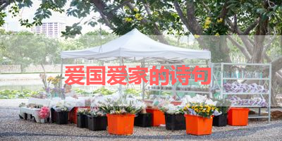 爱国爱家的诗句 