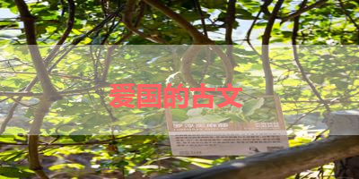 爱国的古文 