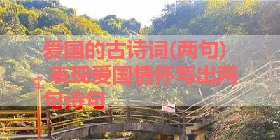 爱国的古诗词(两句) 表现爱国情怀写出两句诗句 