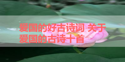爱国的好古诗词 关于爱国的古诗十首 