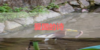 爱国的诗 