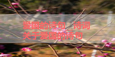 爱国的诗句__诗词 关于爱国的诗句