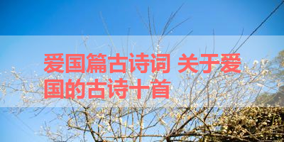 爱国篇古诗词 关于爱国的古诗十首 