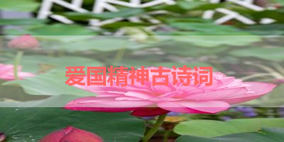 爱国精神古诗词 